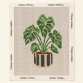House Plant Canvas