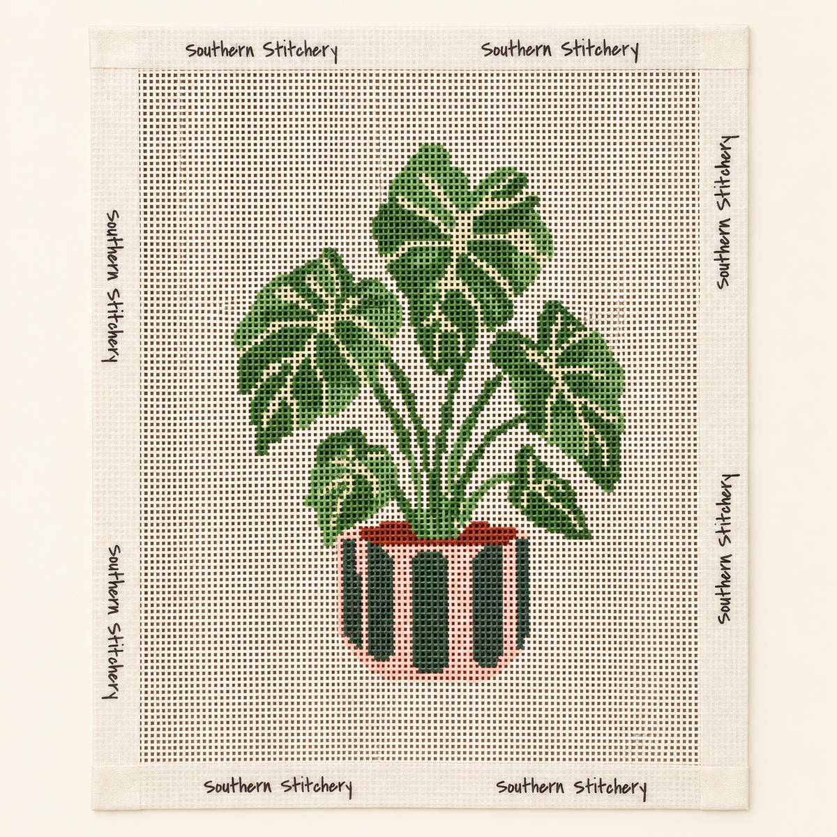House Plant Canvas